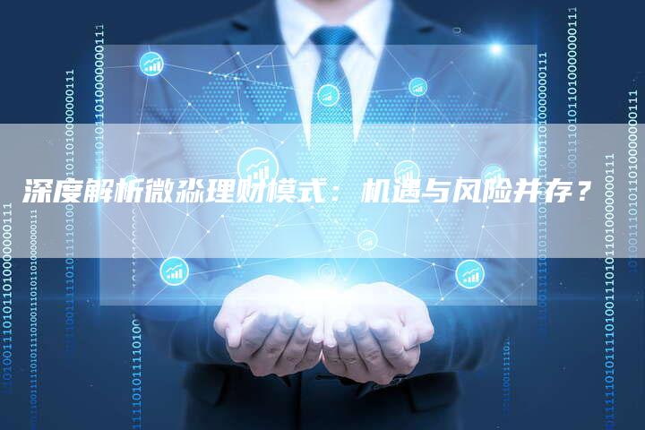 深度解析微淼理财模式：机遇与风险并存？