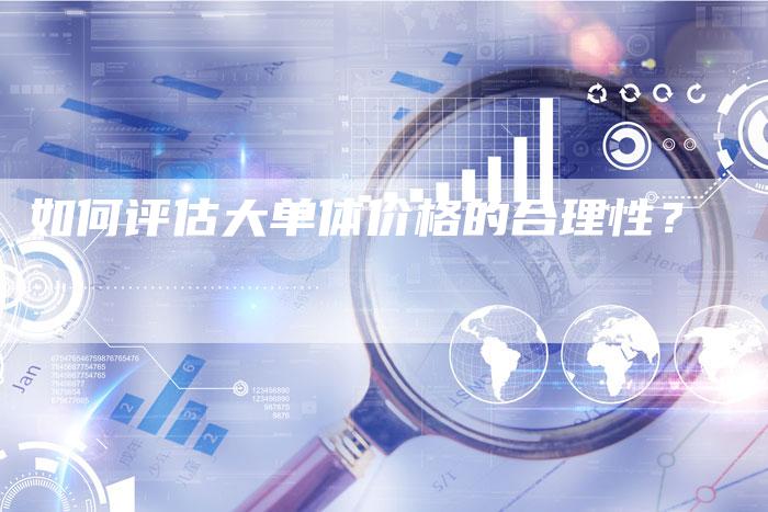如何评估大单体价格的合理性？