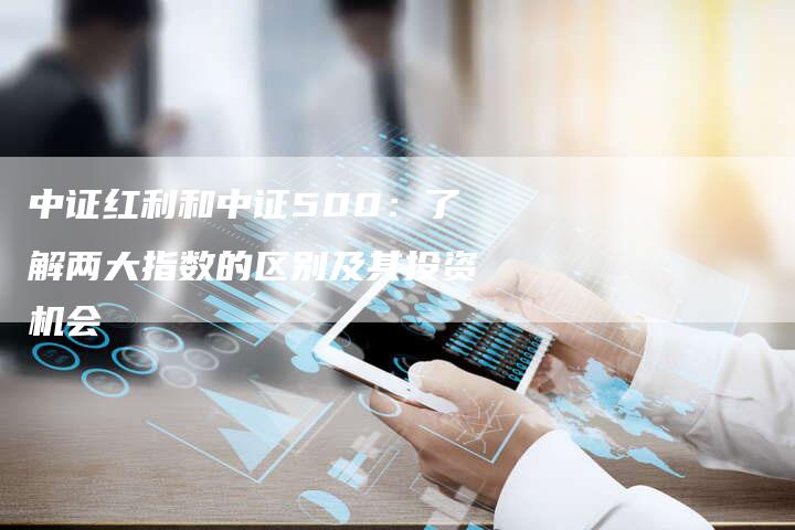 中证红利和中证500：了解两大指数的区别及其投资机会