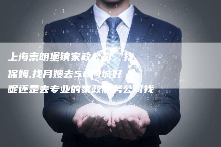 上海崇明堡镇家政公司，找保姆,找月嫂去58同城好呢还是去专业的家政服务公司找