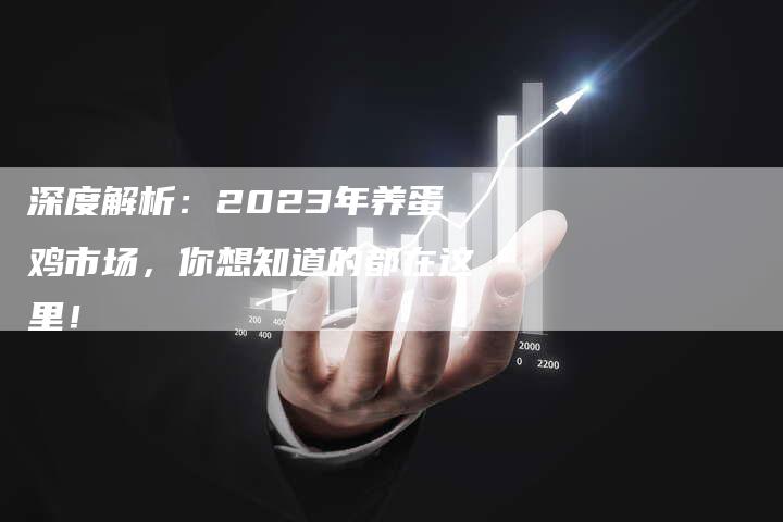 深度解析：2023年养蛋鸡市场，你想知道的都在这里！