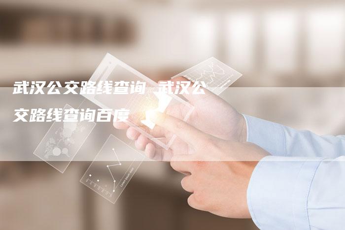 武汉公交路线查询 武汉公交路线查询百度