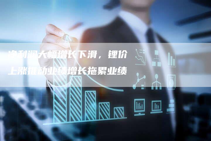 净利润大幅增长下滑，锂价上涨推动业绩增长拖累业绩