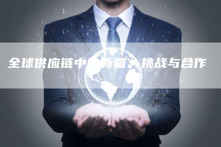 全球供应链中的新疆：挑战与合作
