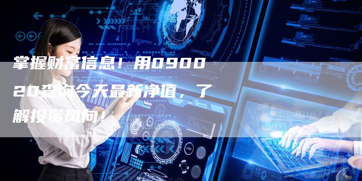 掌握财富信息！用090020查询今天最新净值，了解投资风向！