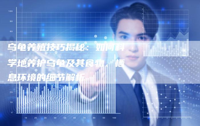 乌龟养殖技巧揭秘：如何科学地养护乌龟及其食物、栖息环境的细节解析