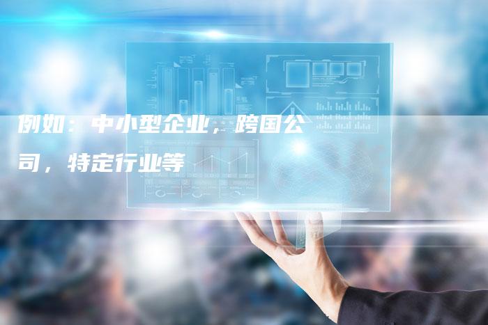 例如：中小型企业，跨国公司，特定行业等