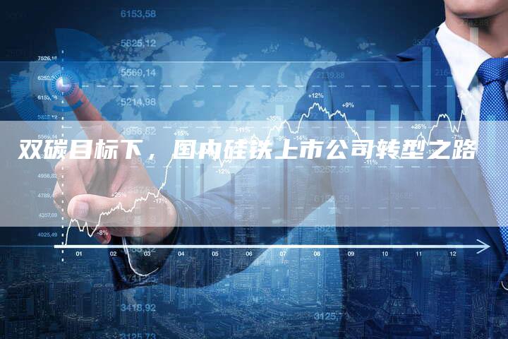 双碳目标下，国内硅铁上市公司转型之路