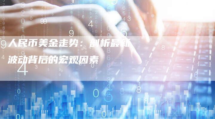 人民币美金走势：剖析最新波动背后的宏观因素