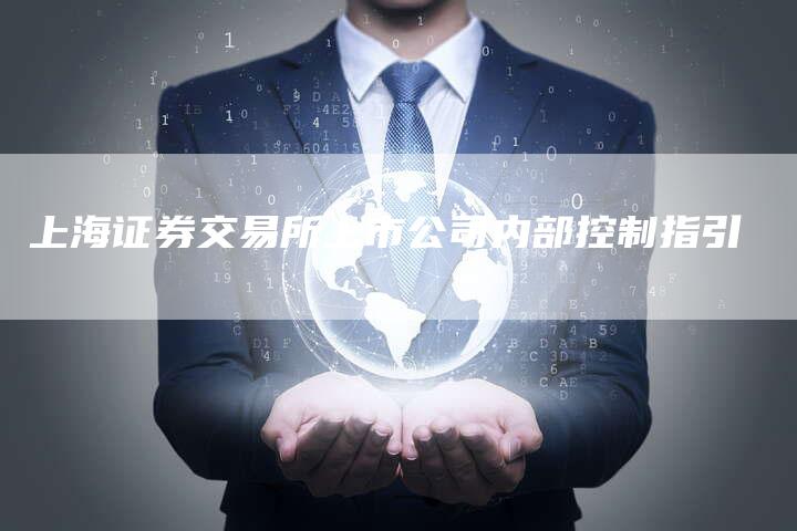 上海证券交易所上市公司内部控制指引